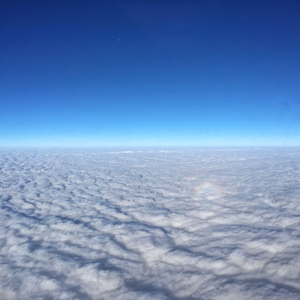 日韩在线免费播放
